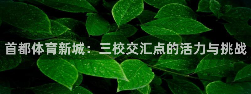 尊龙官网下载招商电话号码:首都体育新城:三校交汇点的活力与挑